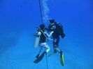 Hawaii Scuba divng 82