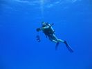 Hawaii Scuba divng 83