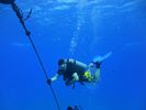 Hawaii Scuba divng 84