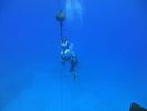 Hawaii Scuba divng 85