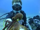 Hawaii Scuba divng 10