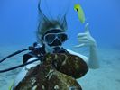 Hawaii Scuba divng 14