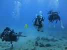 Hawaii Scuba divng 17