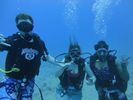 Hawaii Scuba divng 21