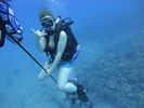 Hawaii Scuba divng 24