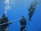 Hawaii Scuba divng 28