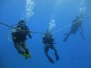 Hawaii Scuba divng 29