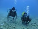 Hawaii Scuba divng 33