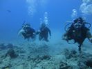 Hawaii Scuba divng 35