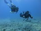 Hawaii Scuba divng 37