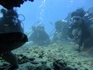 Hawaii Scuba divng 44