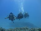 Hawaii Scuba divng 54