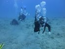 Hawaii Scuba divng 56