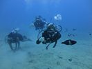 Hawaii Scuba divng 58