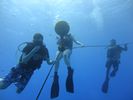 Hawaii Scuba divng 06