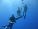 Hawaii Scuba divng 07