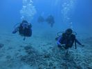 Hawaii Scuba divng 21