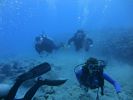 Hawaii Scuba divng 22