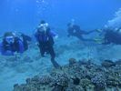 Hawaii Scuba divng 23