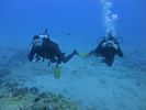 Hawaii Scuba divng 25