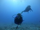 Hawaii Scuba divng 46