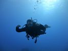 Hawaii Scuba divng 48