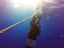 Hawaii Scuba divng 51