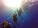 Hawaii Scuba divng 51