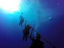 Hawaii Scuba divng 52