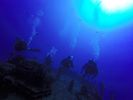 Hawaii Scuba divng 56