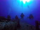 Hawaii Scuba divng 57