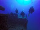 Hawaii Scuba divng 58