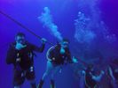 Hawaii Scuba divng 72