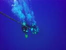 Hawaii Scuba divng 73