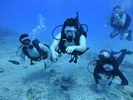 Hawaii Scuba divng 10