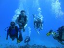 Hawaii Scuba divng 11