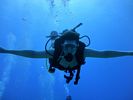 Hawaii Scuba divng 15