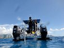 Hawaii Scuba divng 18