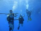 Hawaii Scuba divng 19