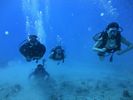 Hawaii Scuba divng 22