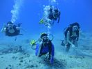 Hawaii Scuba divng 23