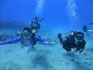 Hawaii Scuba divng 24