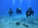 Hawaii Scuba divng 25