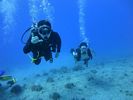 Hawaii Scuba divng 26