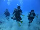 Hawaii Scuba divng 27