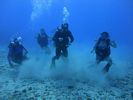 Hawaii Scuba divng 28