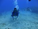 Hawaii Scuba divng 34