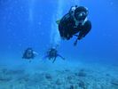 Hawaii Scuba divng 35