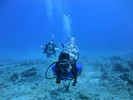 Hawaii Scuba divng 36