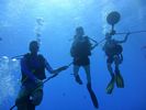 Hawaii Scuba divng 04